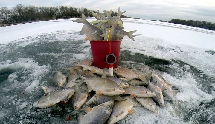 Льда нет, но рыбалка веселая
